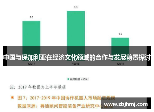 中国与保加利亚在经济文化领域的合作与发展前景探讨