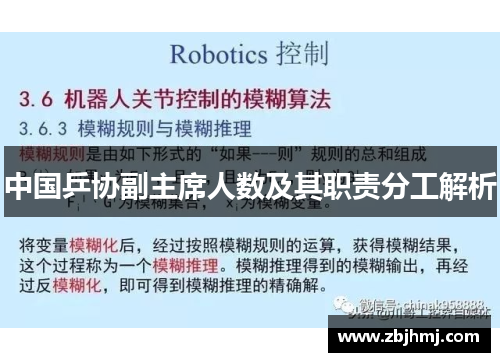 中国乒协副主席人数及其职责分工解析