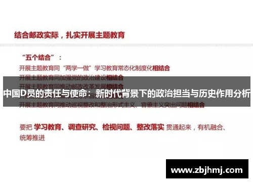 中国D员的责任与使命：新时代背景下的政治担当与历史作用分析