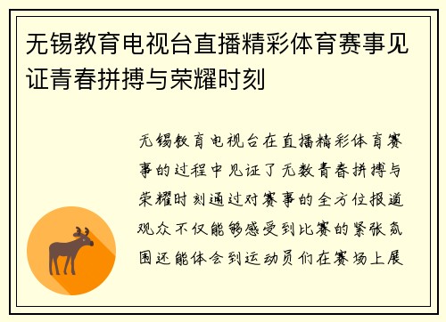 无锡教育电视台直播精彩体育赛事见证青春拼搏与荣耀时刻